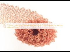 2*3 mm gatgrootte geweven metaalnet Plain weefsel voor verschillende industriële toepassingen