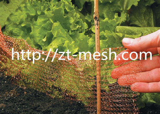 Gelast gelast draadnet met een platte en een golvende oppervlakte met een spiraalvormige wending of een gecomprimeerd draadnet