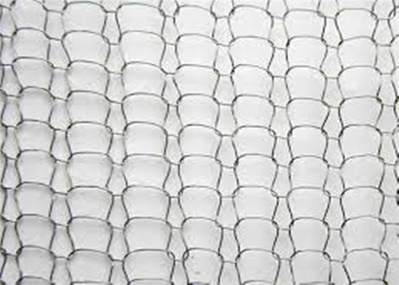 SS Gebreid Mesh Fabric 4*5mm Mesh Hole Gas Liquid AISI 301 voor Ruitverwarmer