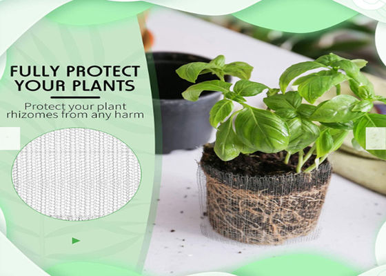 De breiende Wacht Gopher Basket 0.12mm van de Koperwortel Diameter